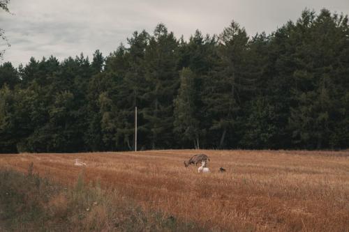 2020-08-16-Spacer-i-rowery-15