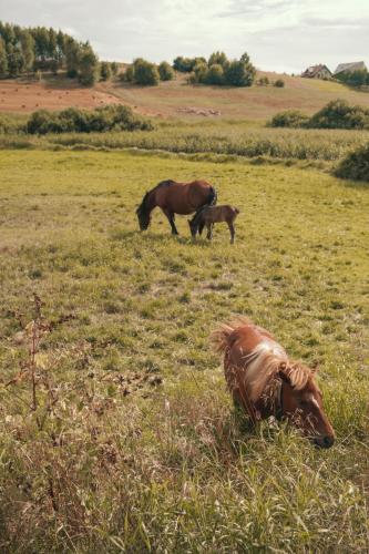 2020-08-16-Spacer-i-rowery-21