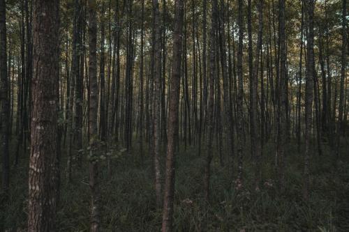 2020-08-16-Spacer-i-rowery-26