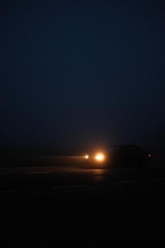 2024-02-27-Las-pod-Koscierzyna-26