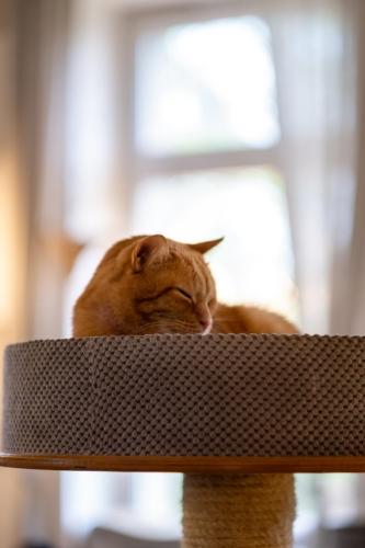 2024-04-19-Kotka-Cafe-1