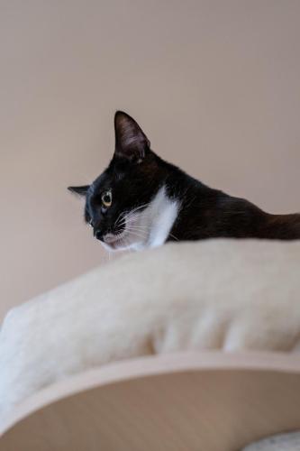 2024-04-19-Kotka-Cafe-3